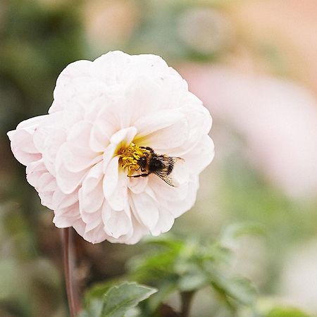 Gasthaus Hummel Duggendorf Εξωτερικό φωτογραφία